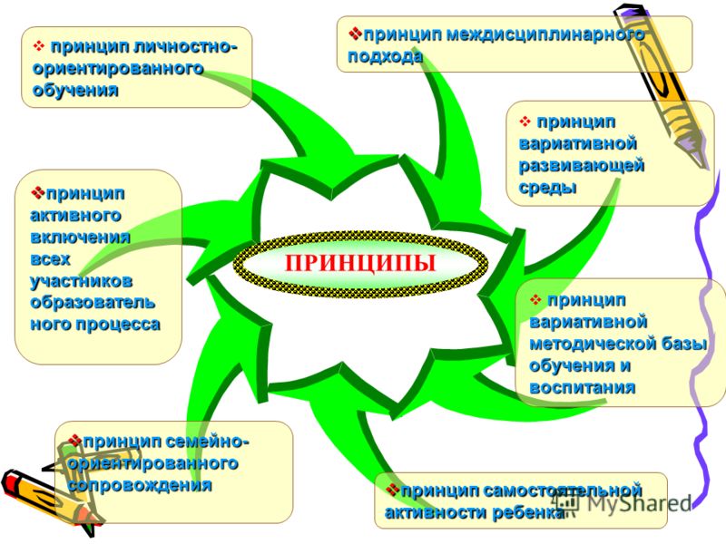 Принципы самостоятельной деятельности обучения Принципы самостоятельной деятельности обучения