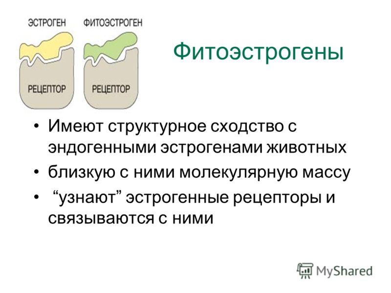 Презентация на тему: "Оздоровительные биокомплексы Биологически ...