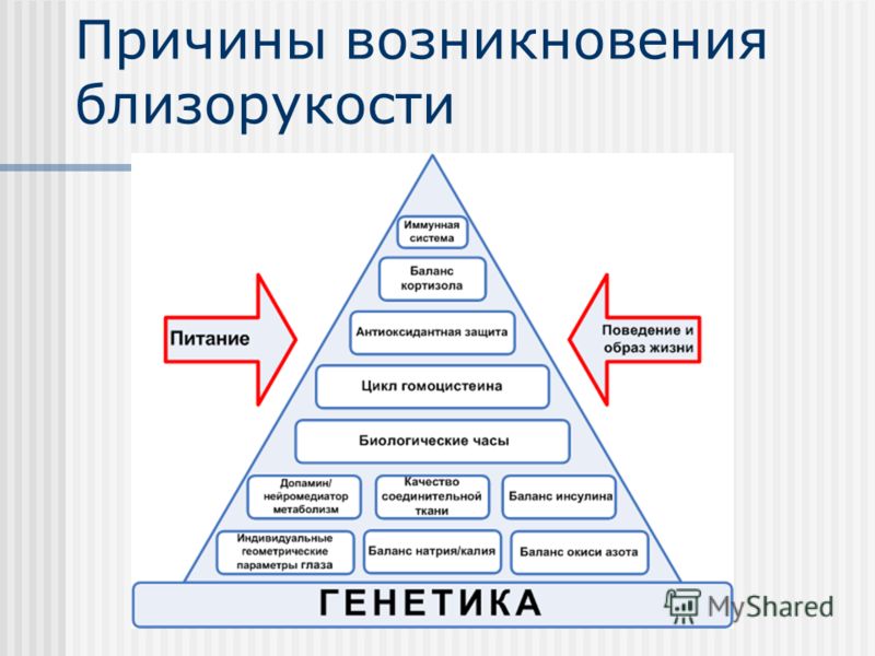 Адренергические средства снижают внутриглазное давление путем