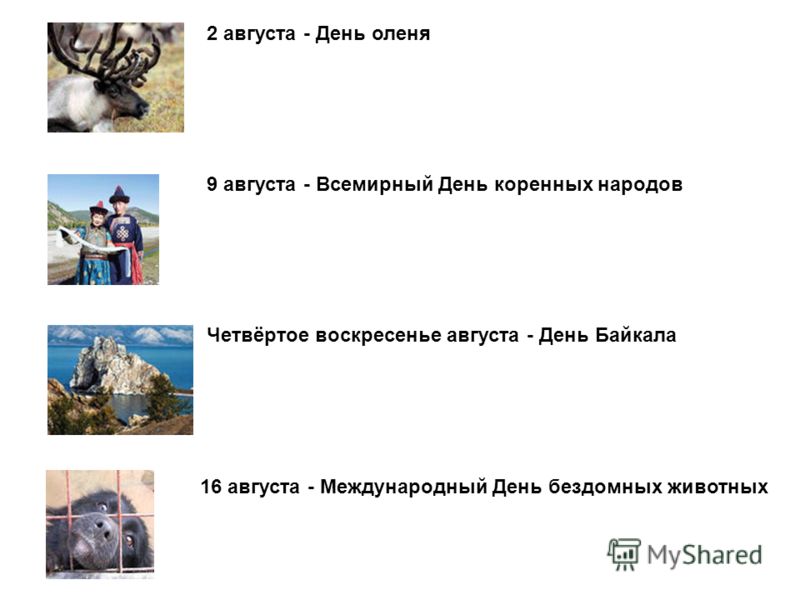 Конкурсы рисунков в июле Конкурсы рисунков в июле