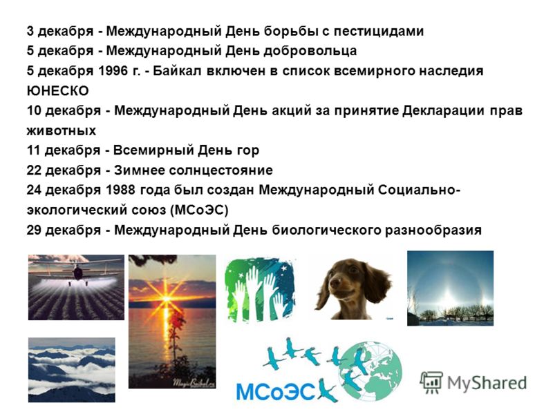 3 декабря - Международный День борьбы с пестицидами 5 декабря - Международный День добровольца 5 декабря 1996 г. - Байкал включен в список всемирного наследия ЮНЕСКО 10 декабря - Международный День акций за принятие Декларации прав животных 11 декабр