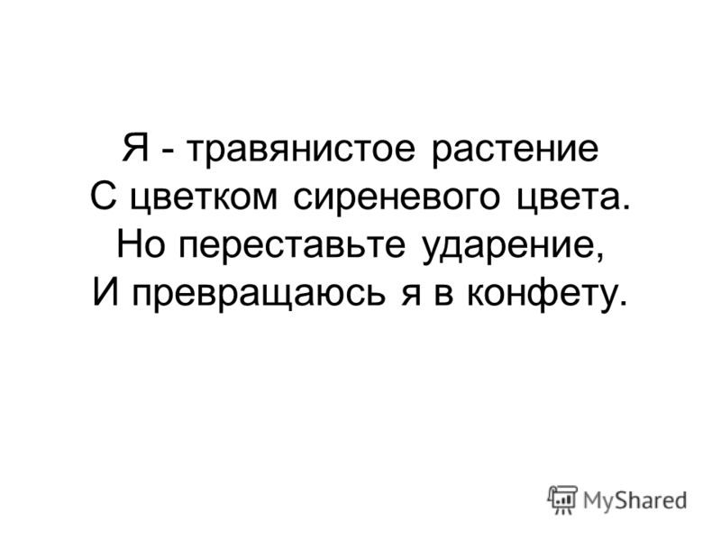 Поговорки о воде 2 класс Поговорки о воде 2 класс