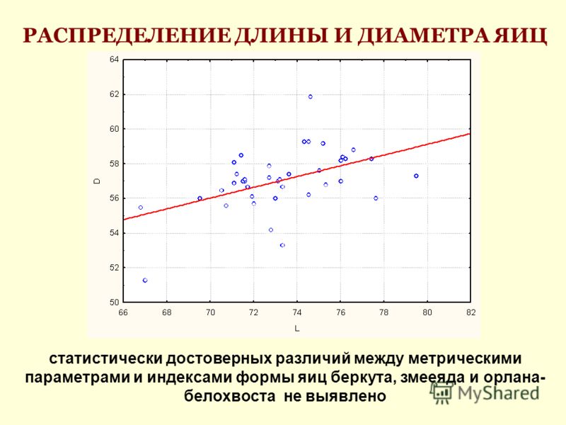 РАСПРЕДЕЛЕНИЕ ДЛИНЫ И ДИАМЕТРА ЯИЦ статистически достоверных различий между метрическими параметрами и индексами формы яиц беркута, змееяда и орлана- белохвоста не выявлено