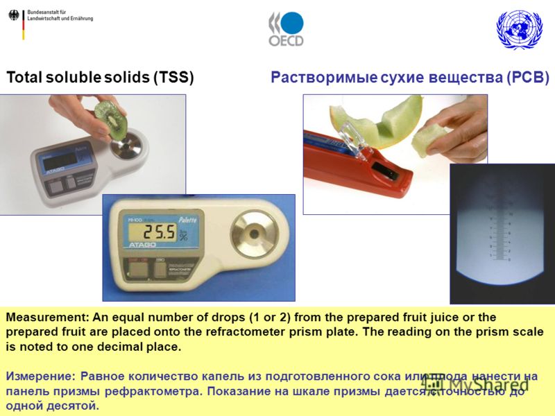 17 Measurement: An equal number of drops (1 or 2) from the prepared fruit juice or the prepared fruit are placed onto the refractometer prism plate. The reading on the prism scale is noted to one decimal place. Измерение: Равное количество капель из 