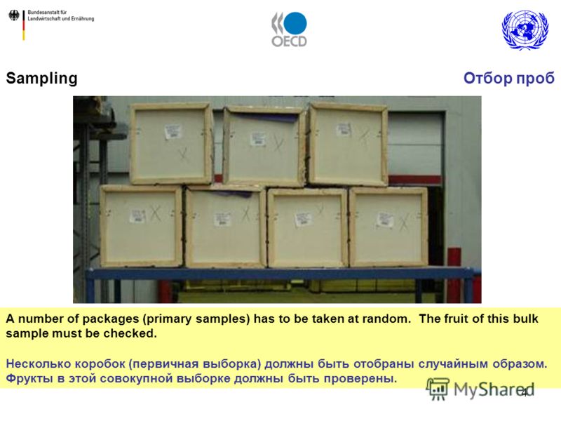 4 A number of packages (primary samples) has to be taken at random. The fruit of this bulk sample must be checked. Несколько коробок (первичная выборка) должны быть отобраны случайным образом. Фрукты в этой совокупной выборке должны быть проверены. S