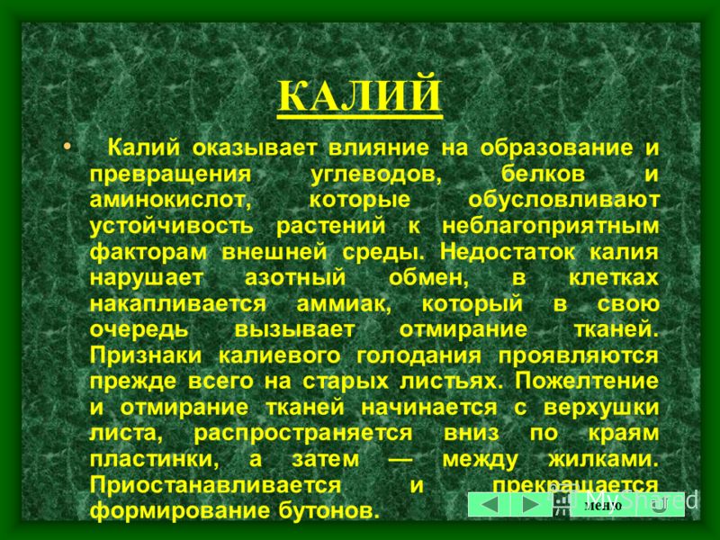 Калий для растений в домашних условиях