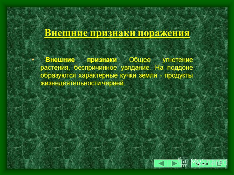 В горшке с растением черви В горшке с растением черви