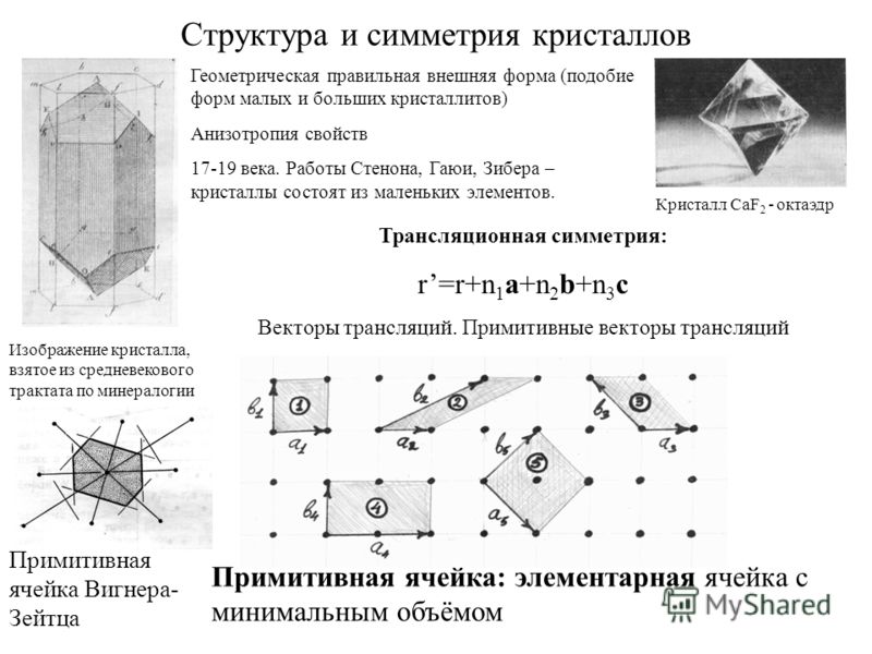 the arithmetic of fundamental groups pia