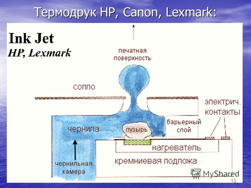 Термодрук НР, Сanon, Lexmark: 10