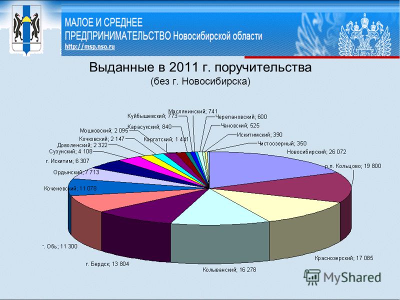 Выданные в 2011 г. поручительства (без г. Новосибирска)
