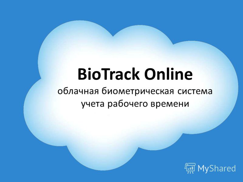 BioTrack Online облачная биометрическая система учета рабочего времени