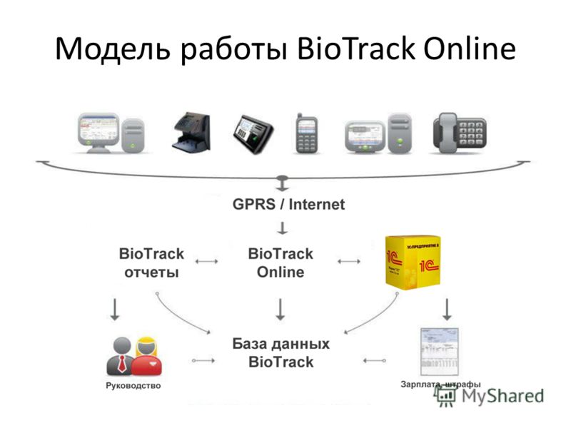 Модель работы BioTrack Online