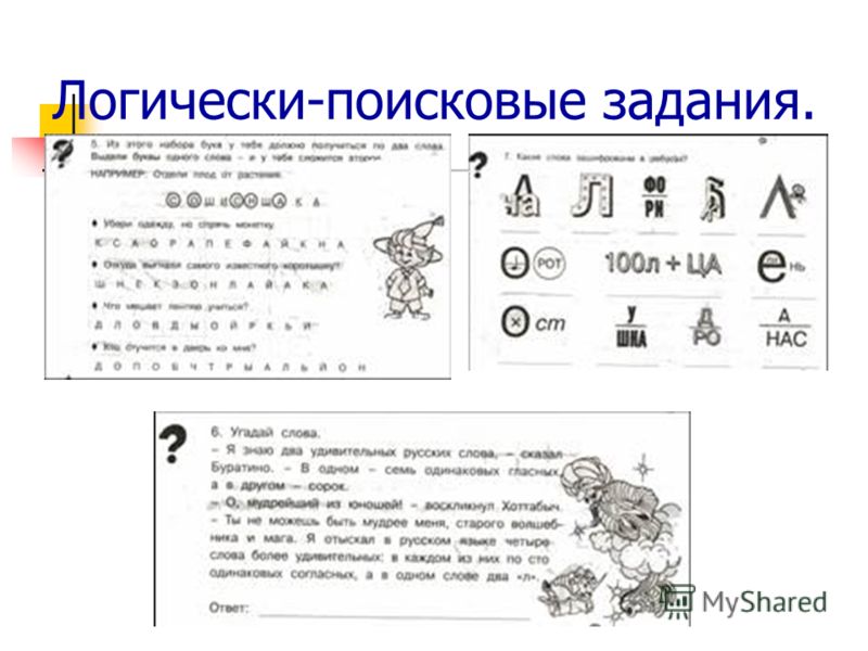 Модные Женские Футболки