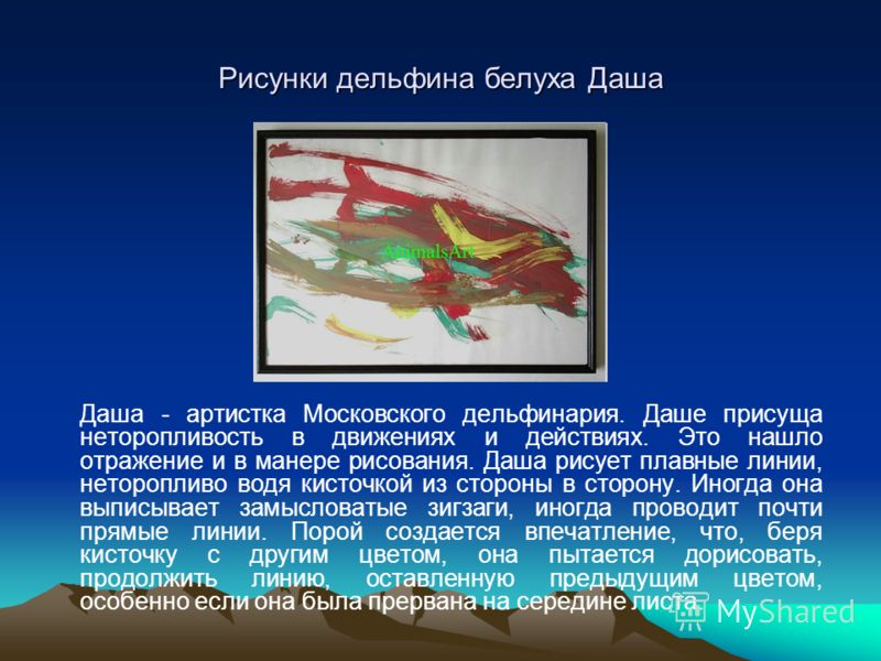Рисунки дельфина белуха Даша Даша - артистка Московского дельфинария. Даше присуща неторопливость в движениях и действиях. Это нашло отражение и в манере рисования. Даша рисует плавные линии, неторопливо водя кисточкой из стороны в сторону. Иногда он