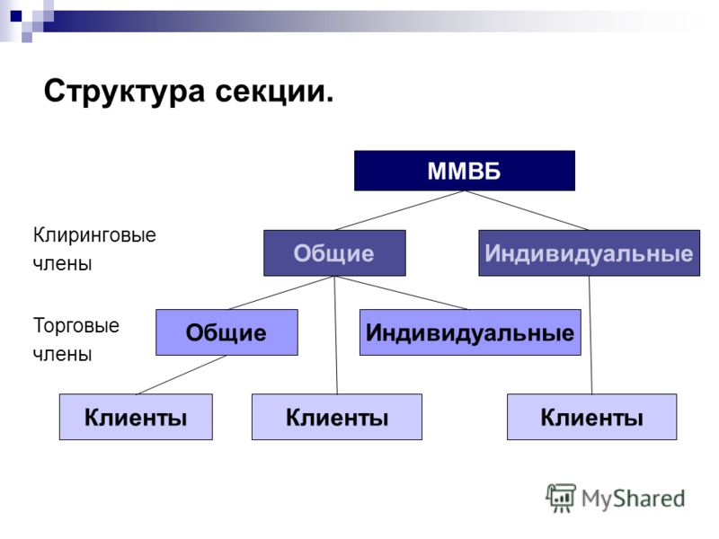 Структура секции. Клиринговые члены ММВБ ОбщиеИндивидуальные ОбщиеИндивидуальные Торговые члены Клиенты