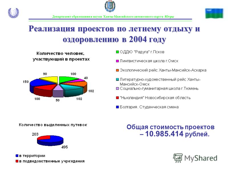 Реализация проектов по летнему отдыху и оздоровлению в 2004 году Общая стоимость проектов – 10.985.414 рублей.