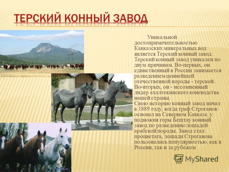 Уникальной достопримечательностью Кавказских минеральных вод является Терский конный завод. Терский конный завод уникален по двум причинам. Во-первых, он единственный в России занимается разведением ценнейшей отечественной породы - терской. Во-вторых