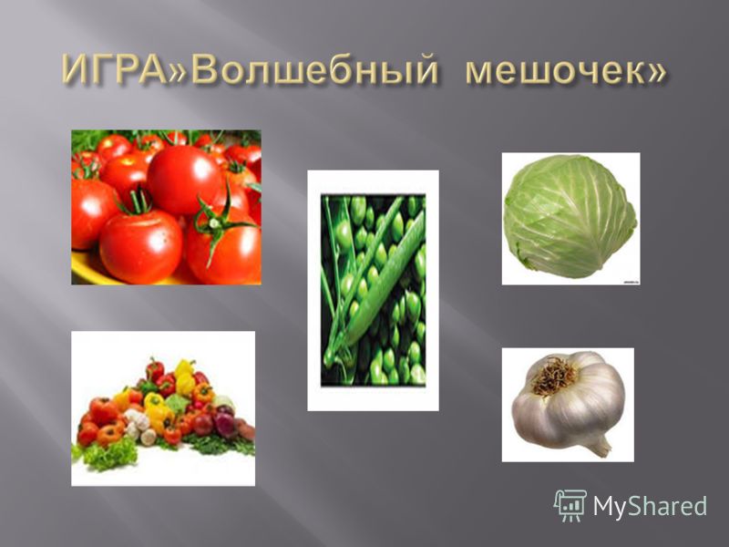 презентация грибы 3 класс школа 21 века
