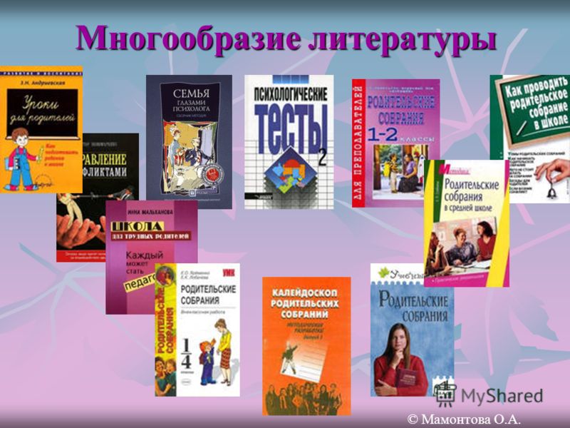 Многообразие литературы © Мамонтова О.А.