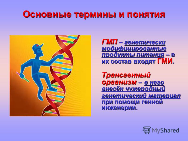 Курсовая работа: Использование генетически модифицированных продуктов в России и в мире
