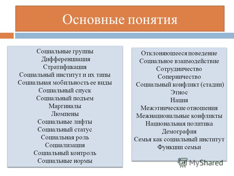 схема виды социальной мобильности