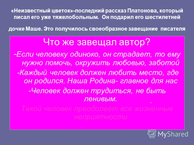 Неизвестный цветок отзыв для читательского дневника Неизвестный цветок отзыв для читательского дневника