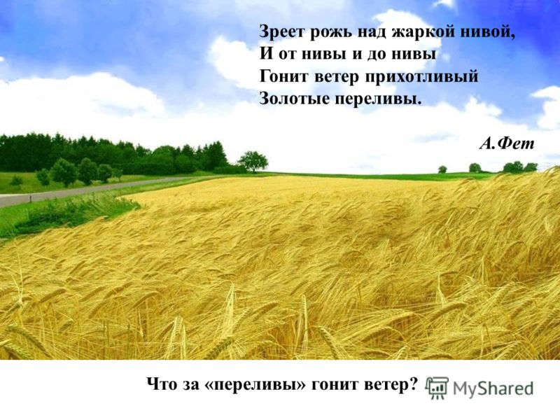 Стих и от нивы и до нивы Стих и от нивы и до нивы