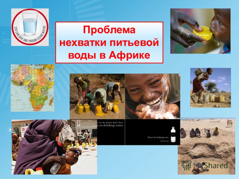 Пословицы о школе на русском языке с переводом Пословицы о школе на русском языке с переводом