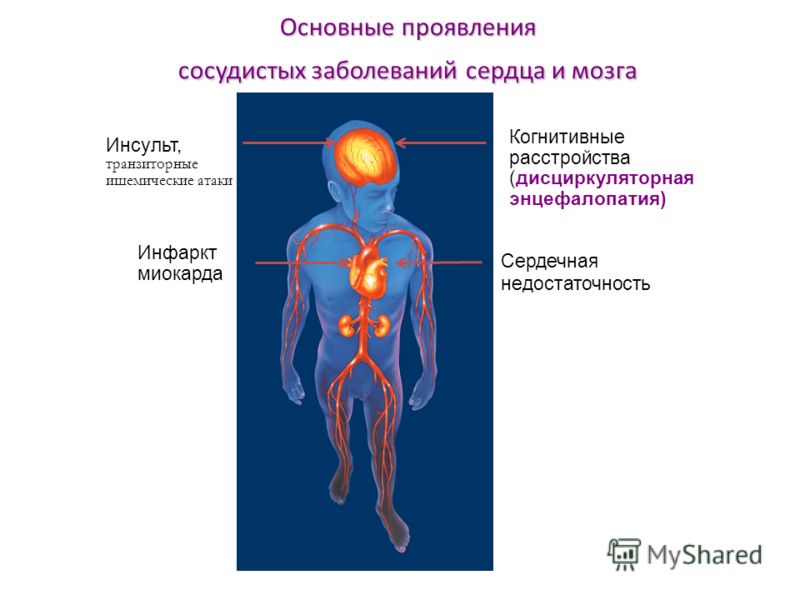 головнi ознаки науково технiчноi революцii