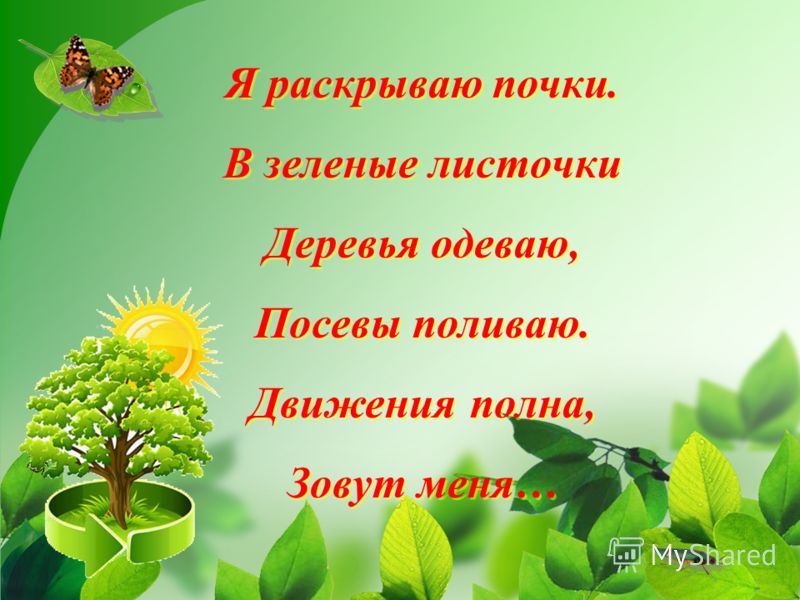 Картинки изменения животные весной Картинки изменения животные весной