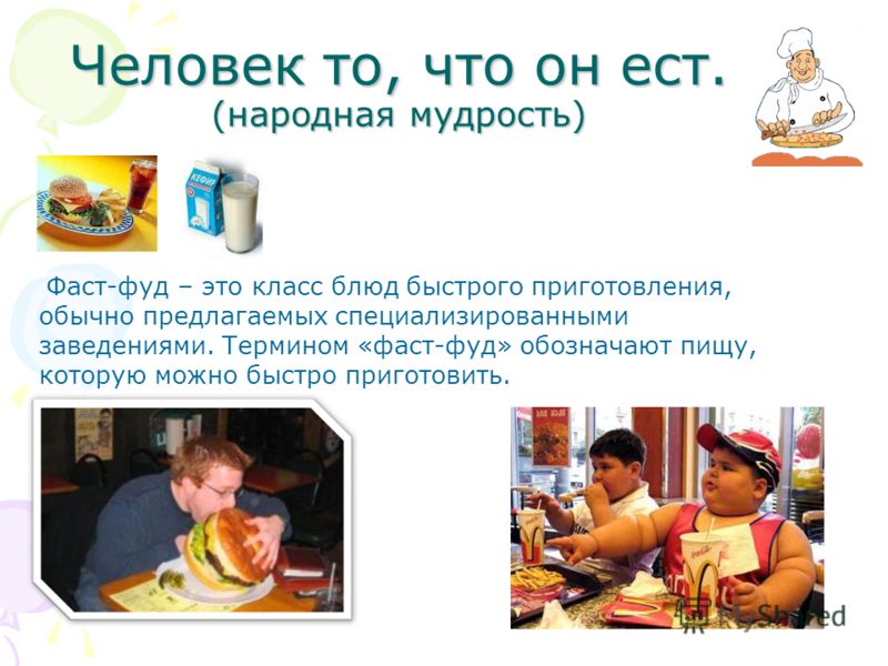 Доклад на тему еда 8696