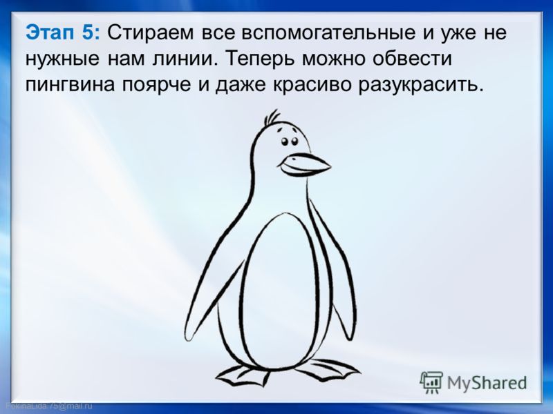 FokinaLida.75@mail.ru Этап 5: Стираем все вспомогательные и уже не нужные нам линии. Теперь можно обвести пингвина поярче и даже красиво разукрасить.