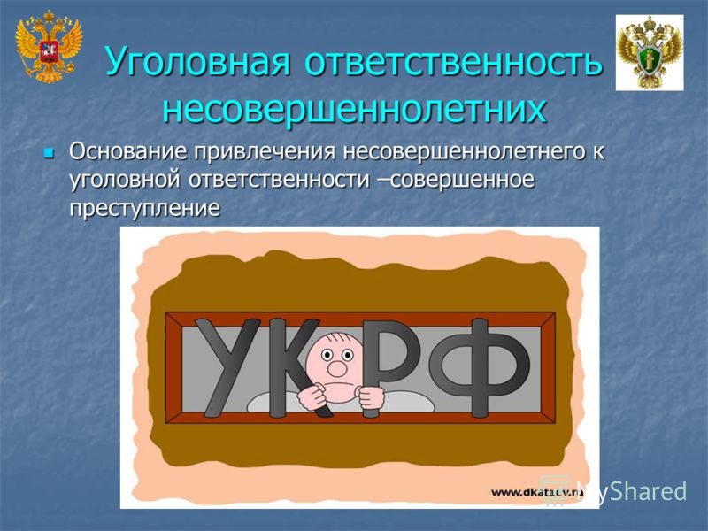 радиусе уголовная ответственность за кражу в магазине мгновенно поняла