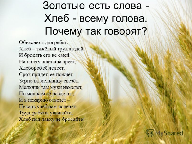 фото хлеб-всему голова онлайн фото хлеб-всему голова
