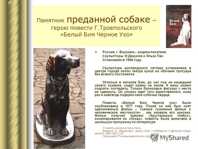 Котик сухое валяние начинающим Котик сухое валяние начинающим