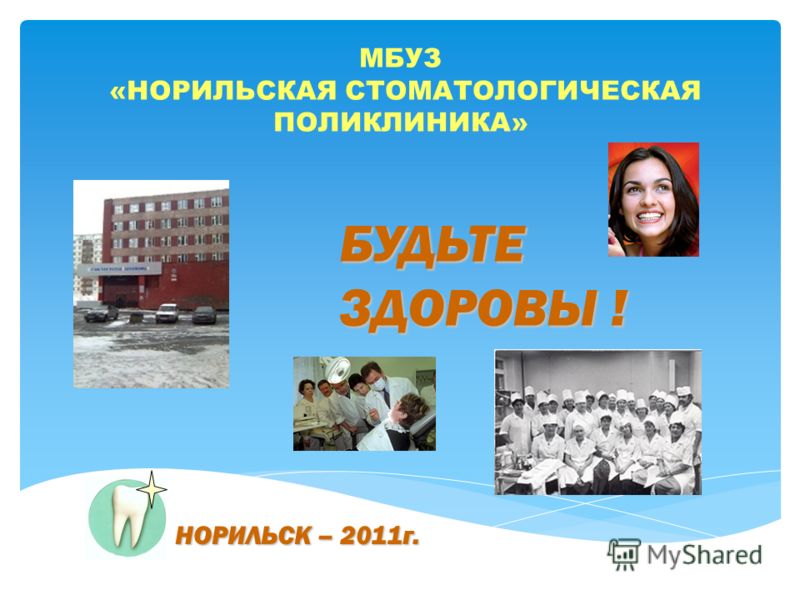 Ветеринарная клиника на новосёлов 37