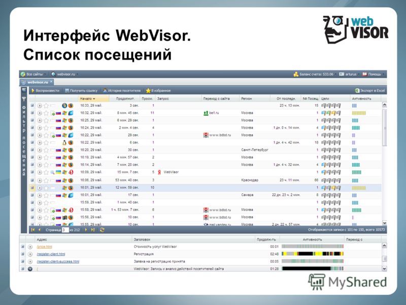 Интерфейс WebVisor. Список посещений