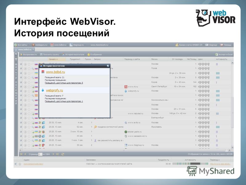 Интерфейс WebVisor. История посещений