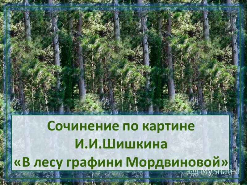 Шишкин в лесу графини мордвиновой сочинение 3 класс