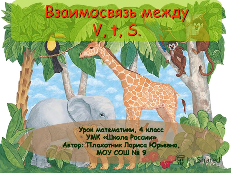 Animals для 6 класса плахотник