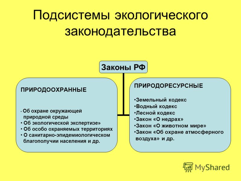 Свадебные конкурсы Сценарии, конкурсы и поздравления Почему болит кожа на руке. Болеть рука. Медицинский нформационный портал