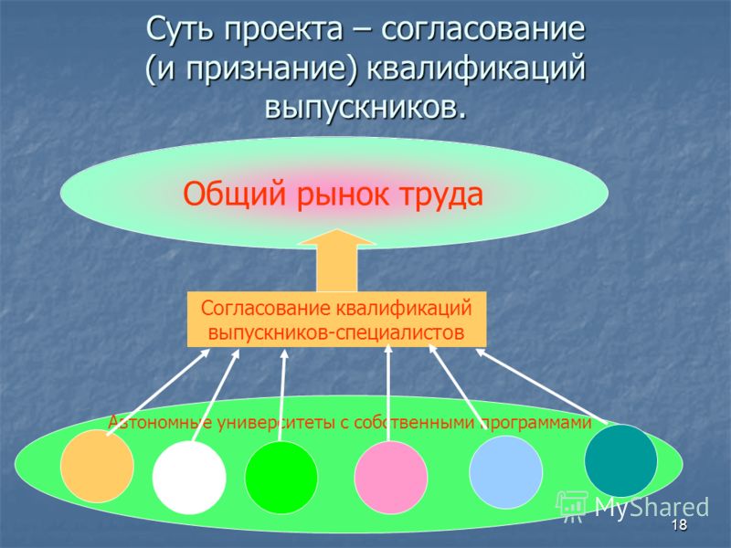 Что означает суть проекта Что такое суть проекта