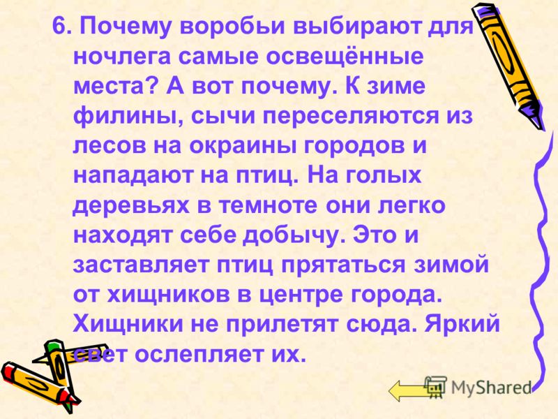 Сорт винограда лорана фото и описание отзывы Сорт винограда лорана фото и описание отзывы
