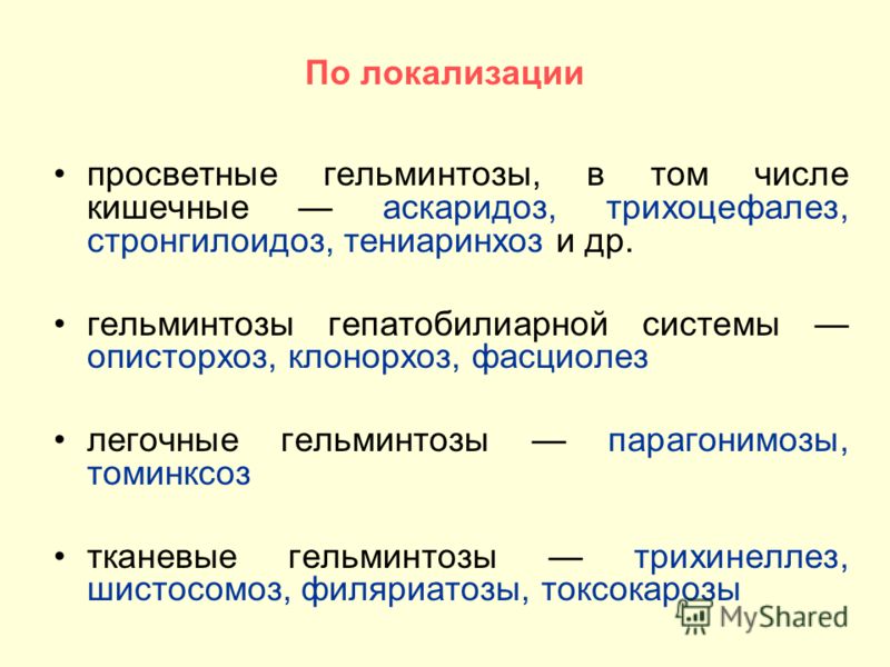 курсовая работа по эпизоотологии на тему туберкулез