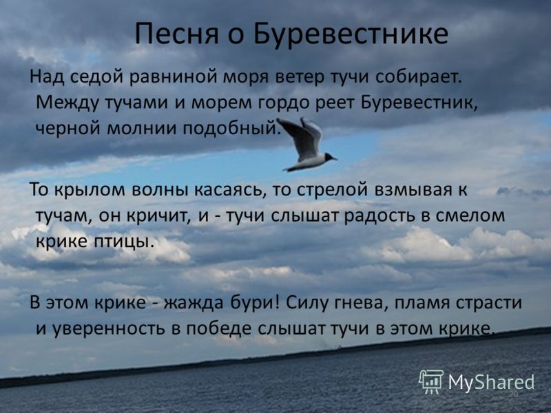 Стих гордый буревестник Стих гордый буревестник