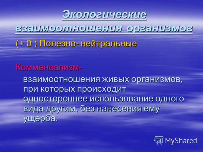 Нейтральные отношения в биологии Нейтральные отношения в биологии