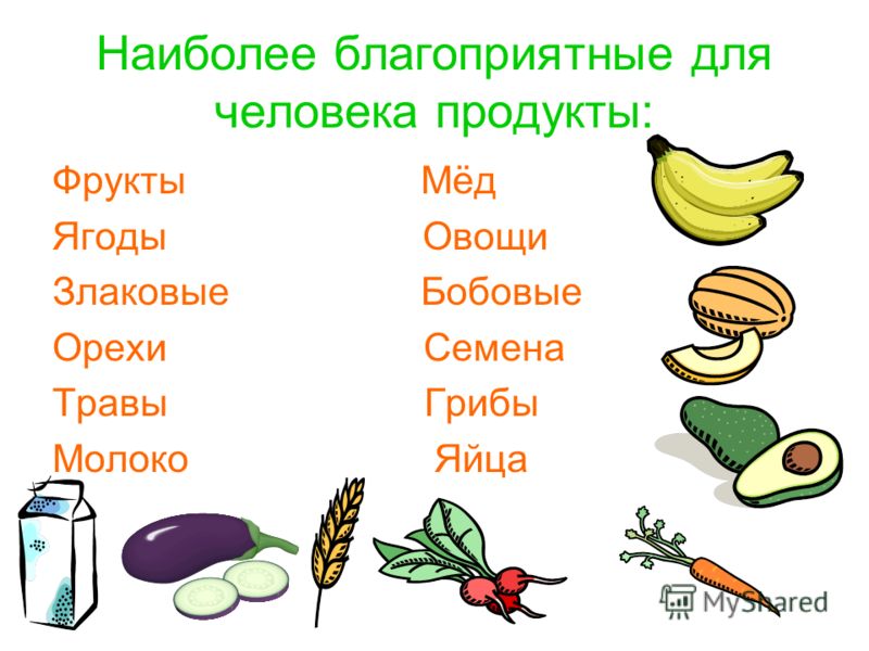 травы для пищеварения и очищения организма травы для пищеварения и очищения организма