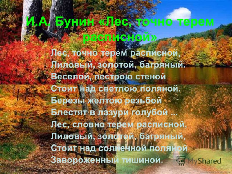 Смотреть лес точно терем расписной картинка лес точно терем расписной картинка