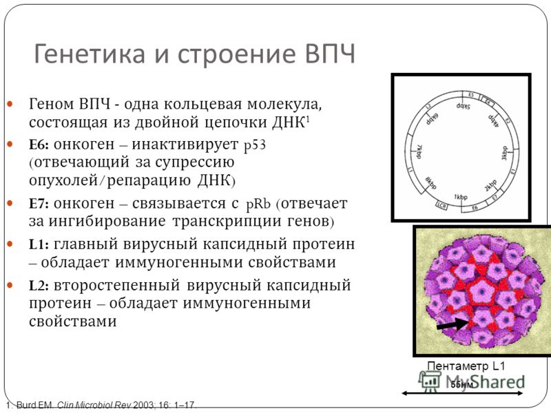 Бородавка у годовалого ребенка