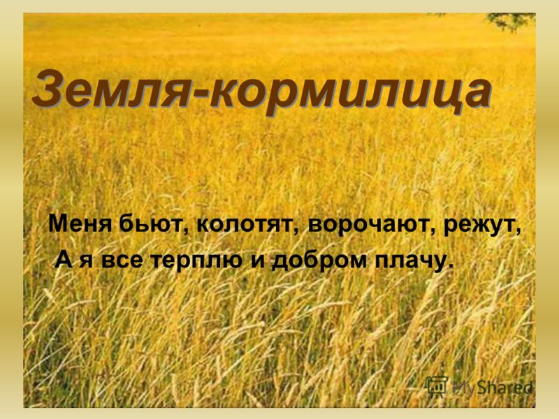 Презентация На Тему Почва 4 Класс По Окружающему Миру Презентация На Тему Почва 4 Класс По Окружающему Миру